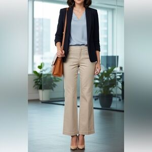 Banana Republic Martin Zipper Fit Pants